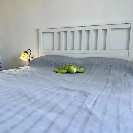 Fun & Sun Apartment